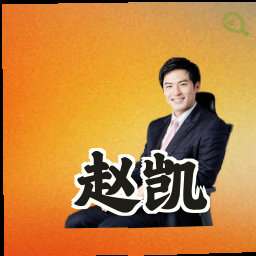 赵凯
